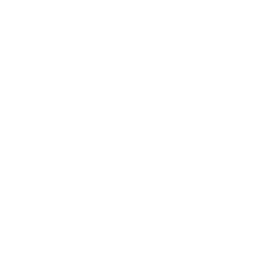 Logo Wieser-Group